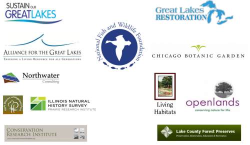 Featured Image for Great Lakes Ravine Restoration Toolkit