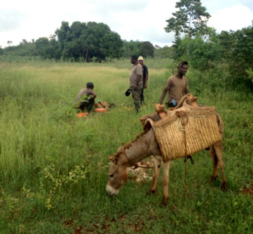 West La Gonave Groundwater Exploration Program