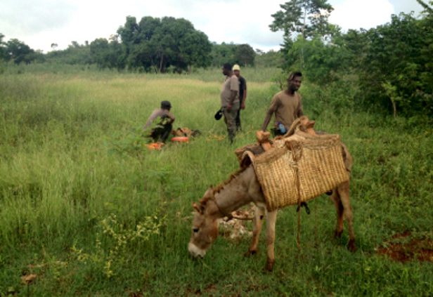 West La Gonave Groundwater Exploration Program