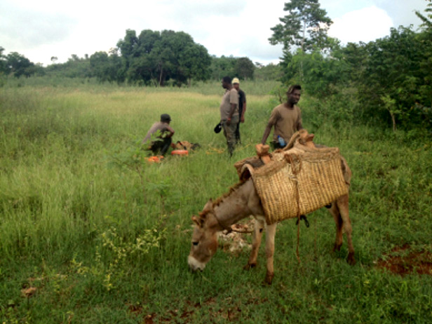 West La Gonave Groundwater Exploration Program