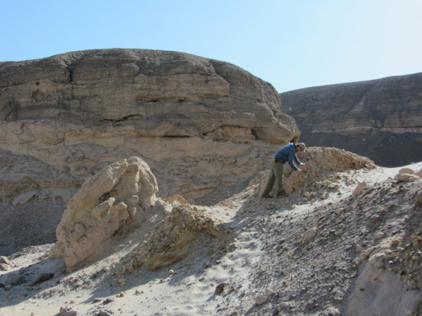 Featured Image for Groundwater Study and Water Sourcing, Arequipa Province, Peru