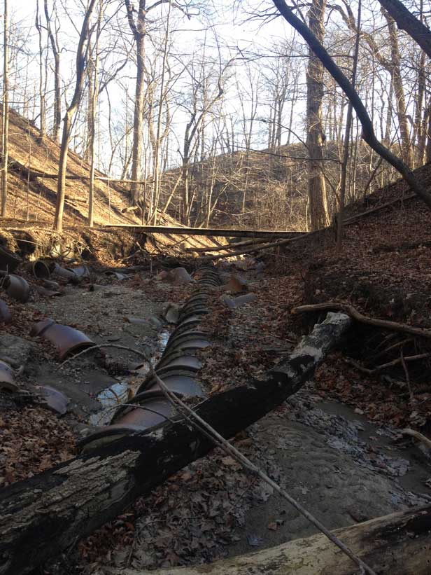Featured Image for Great Lakes Ravine Restoration & Monitoring Program