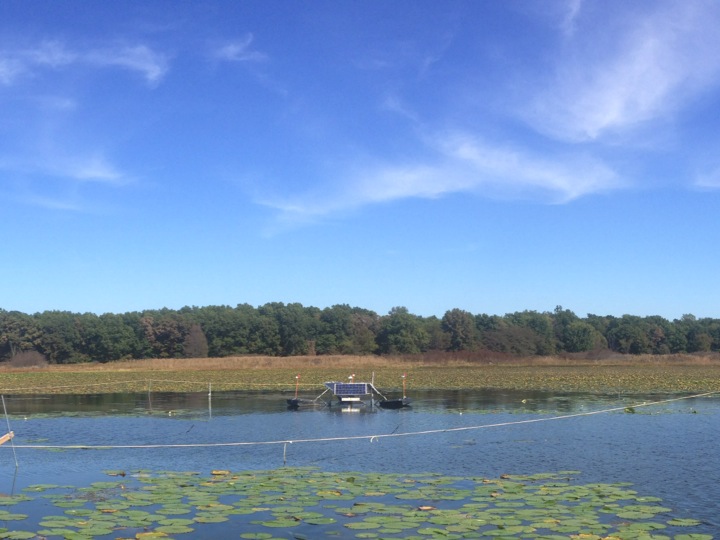 Featured Image for Muck munching: a feasibility study for in-lake organic sediment management, Upper Fish Lake, Indiana