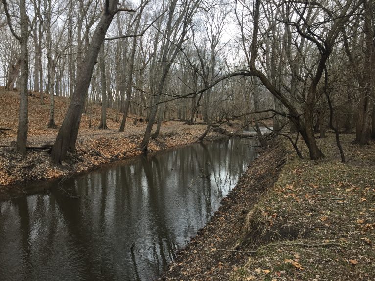 Featured Image for Lake Springfield Watershed Streambank Erosion Assessment